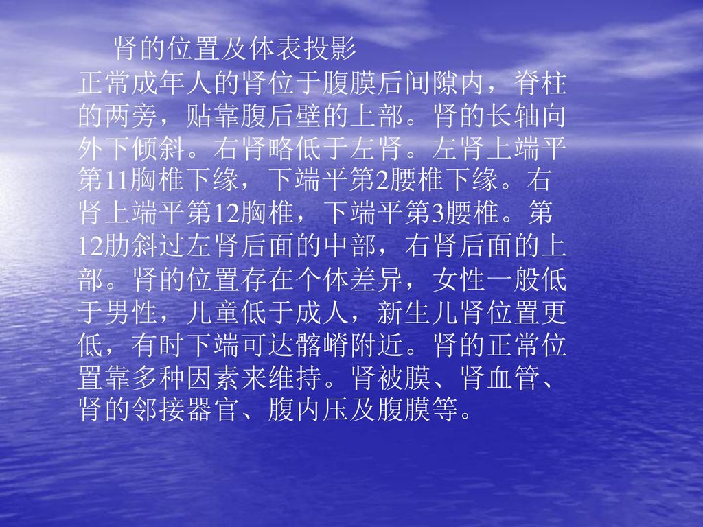 肾的位置及体表投影正常成年人的肾位于腹膜后间隙内,脊柱的两旁,贴靠