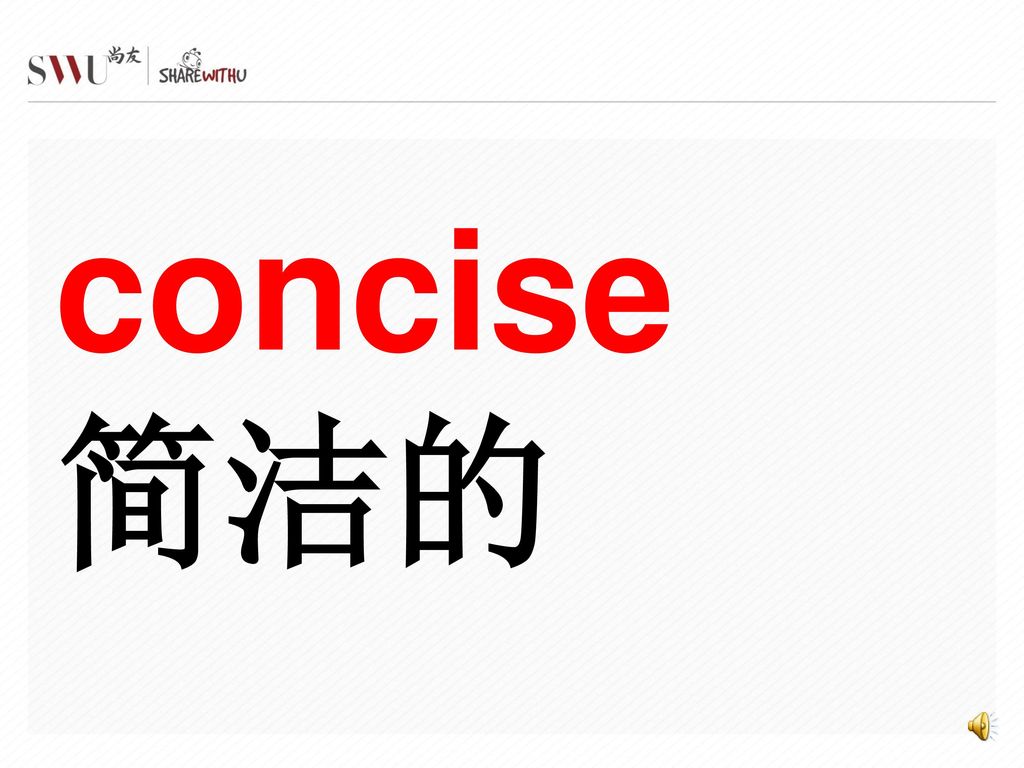 concise 简洁的