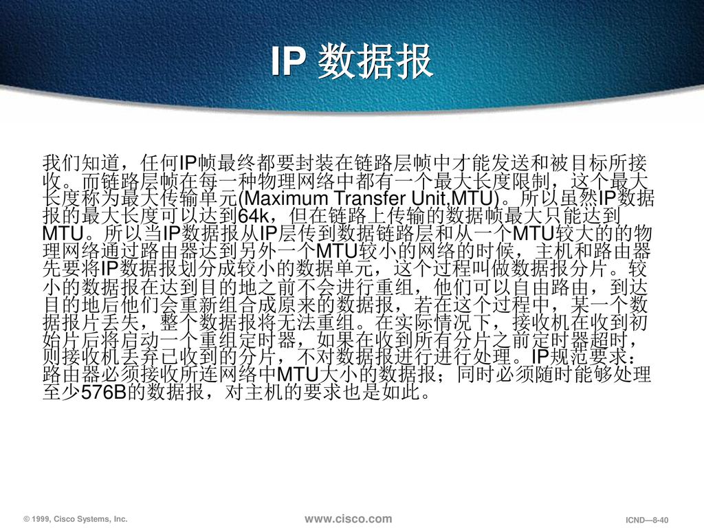 IP 数据报