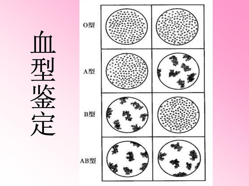 输血与血型.