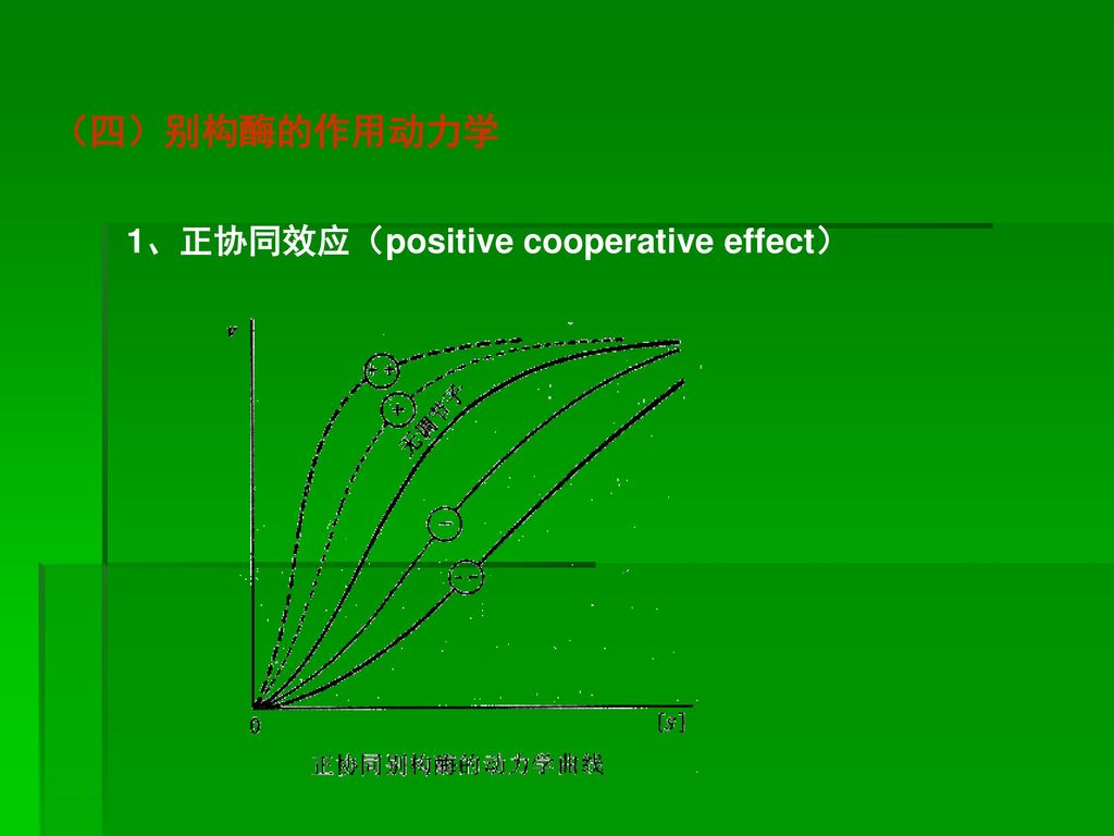 （四）别构酶的作用动力学 1、正协同效应（positive cooperative effect）