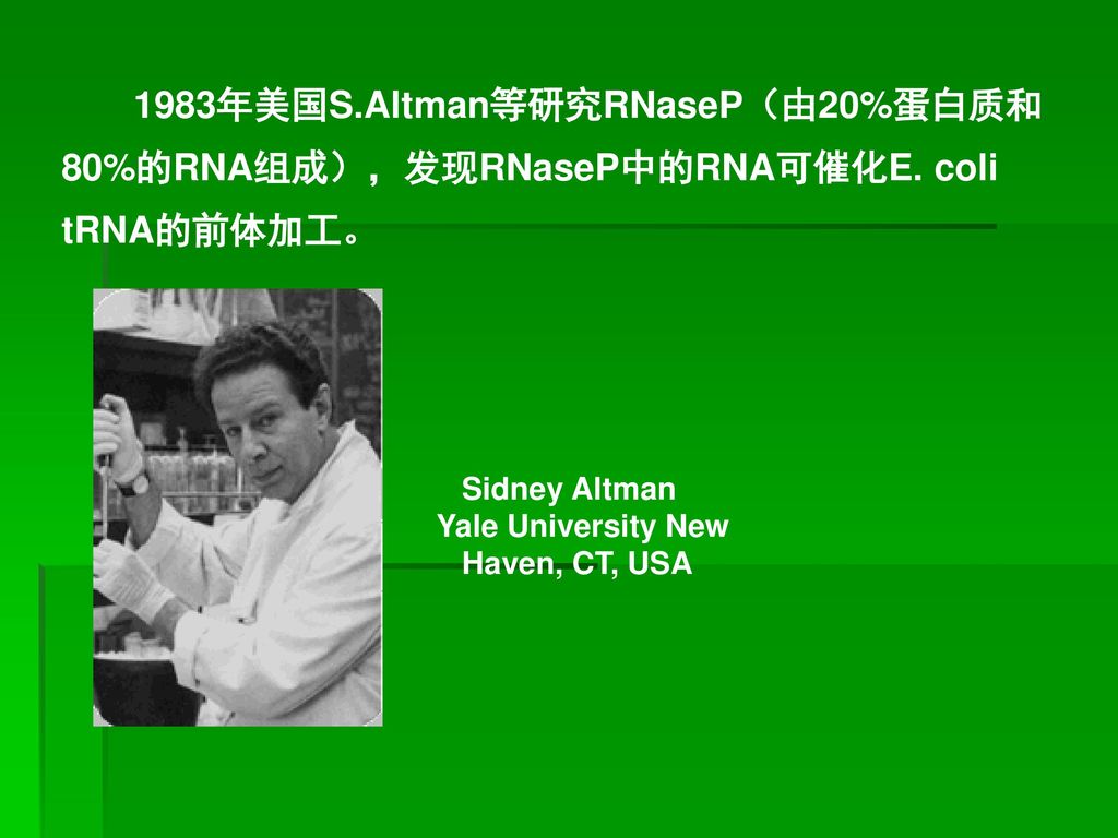 1983年美国S. Altman等研究RNaseP（由20%蛋白质和80%的RNA组成），发现RNaseP中的RNA可催化E