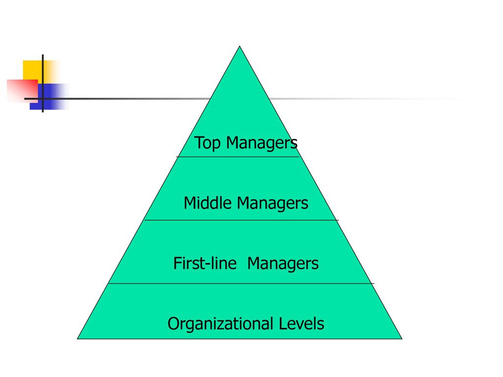 Organizational Levels