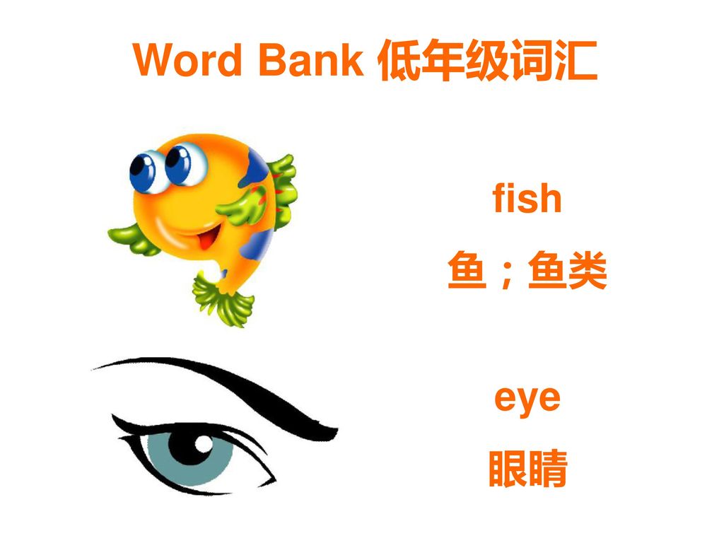 Word Bank 低年级词汇 fish 鱼；鱼类 eye 眼睛