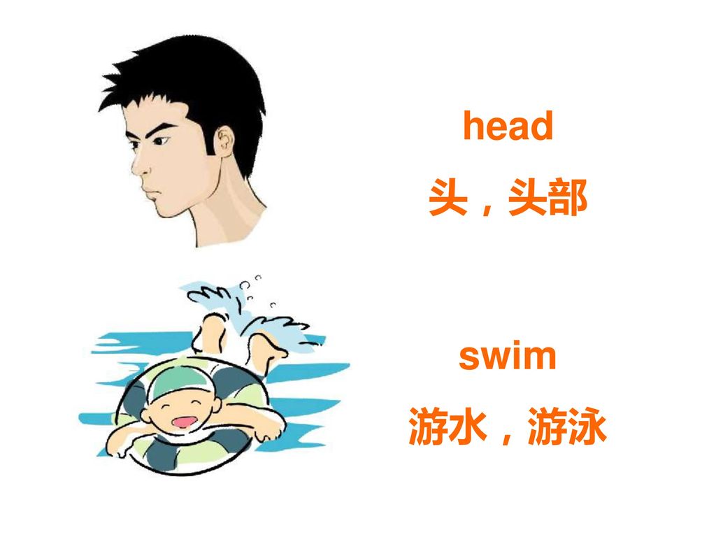 head 头，头部 swim 游水，游泳