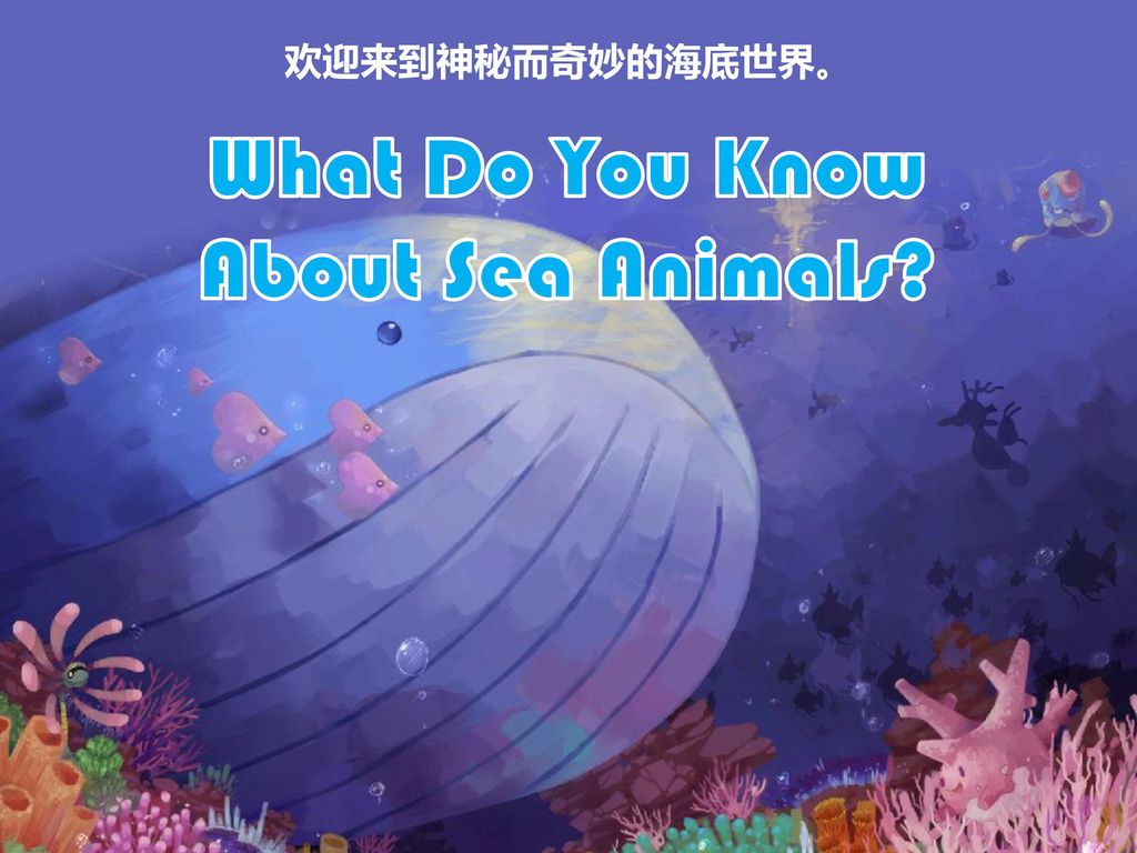 What Do You Know About Sea Animals