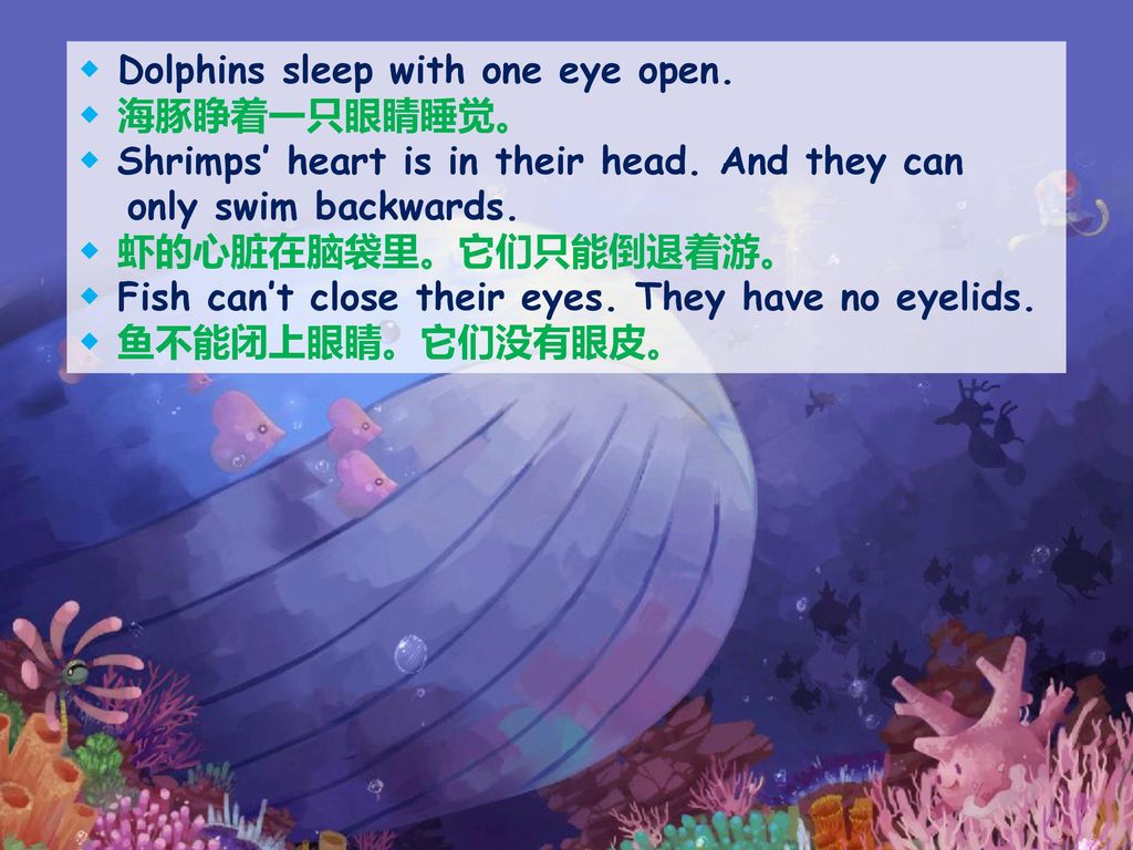 ◆ Dolphins sleep with one eye open.