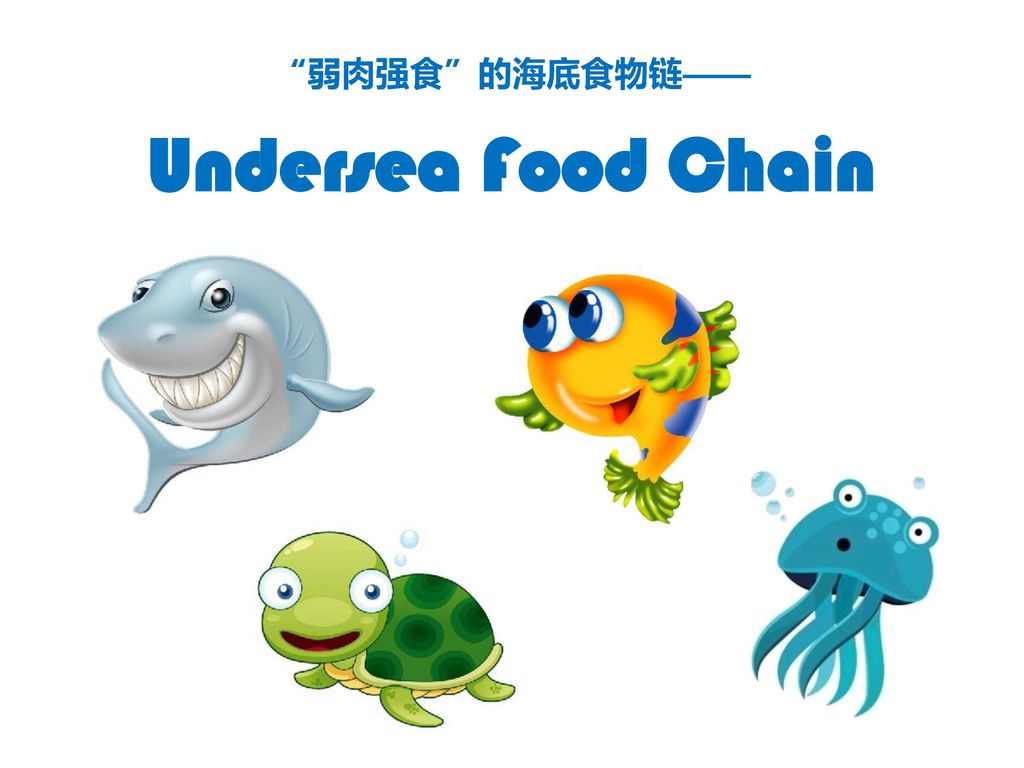 弱肉强食 的海底食物链—— Undersea Food Chain