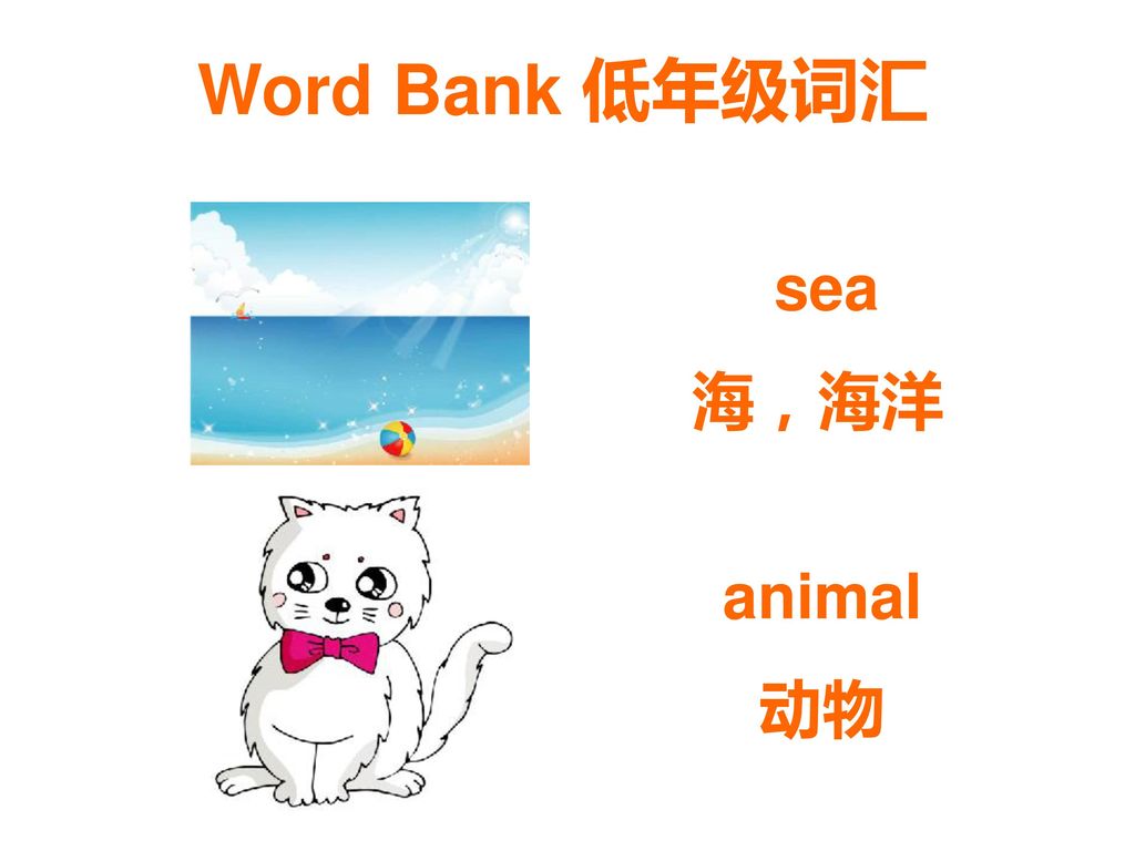 Word Bank 低年级词汇 sea 海，海洋 animal 动物