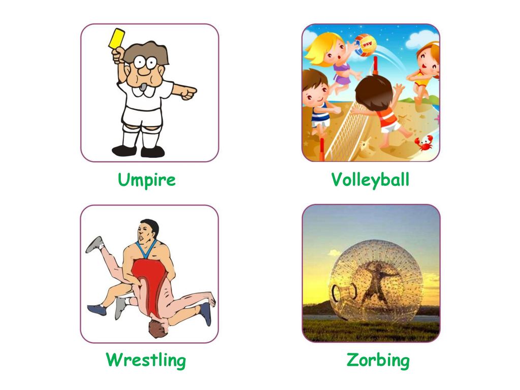 Umpire Volleyball Wrestling Zorbing