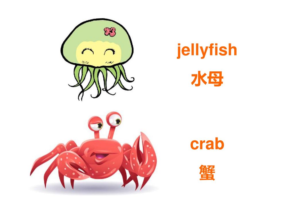 jellyfish 水母 crab 蟹