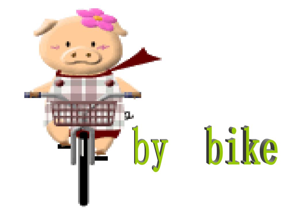 by bike