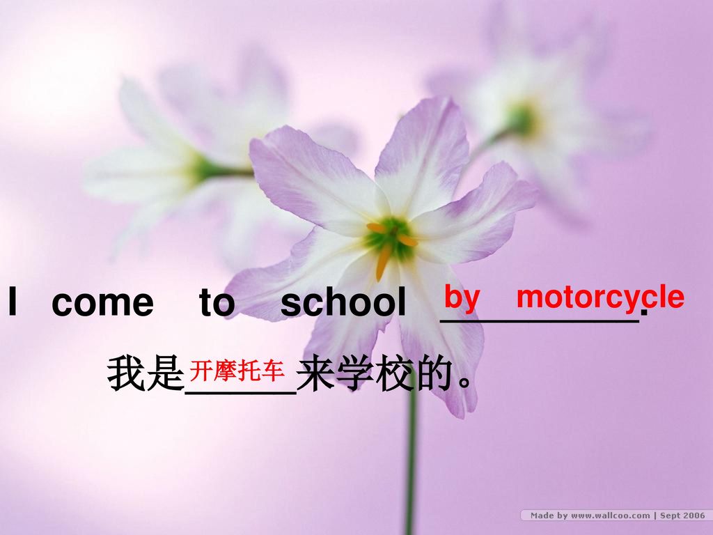 I come to school _________. 我是_____来学校的。