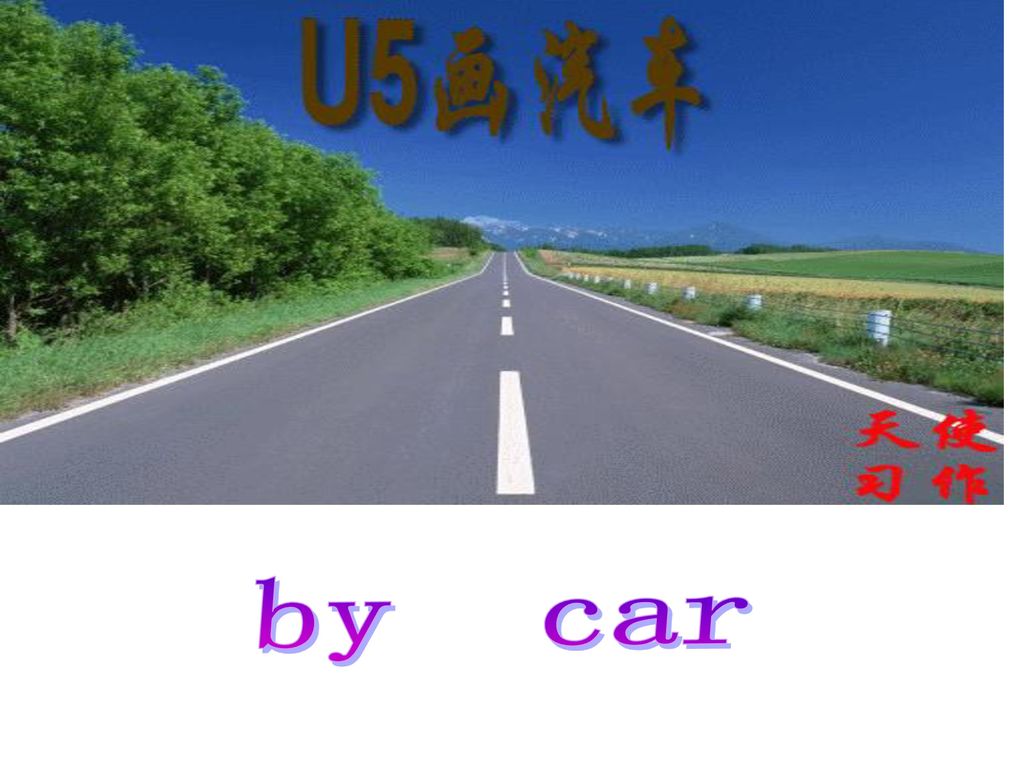 by car