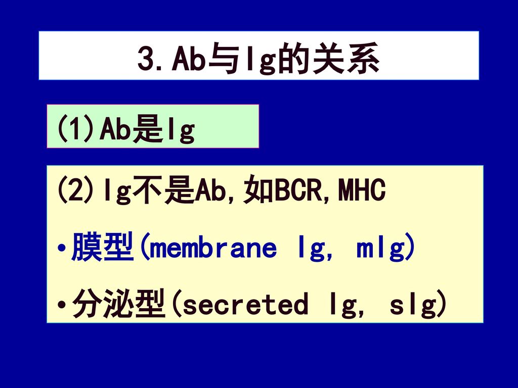 3.Ab与Ig的关系 (1)Ab是Ig (2)Ig不是Ab,如BCR,MHC 膜型(membrane Ig, mIg)