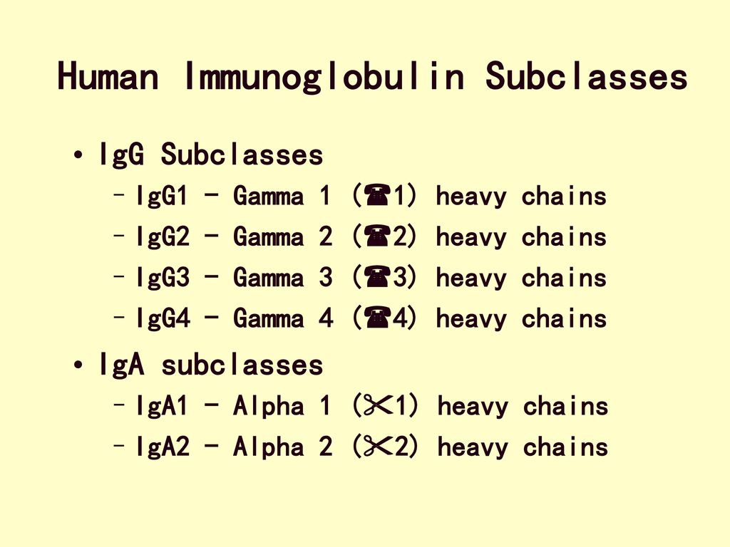 Human Immunoglobulin Subclasses