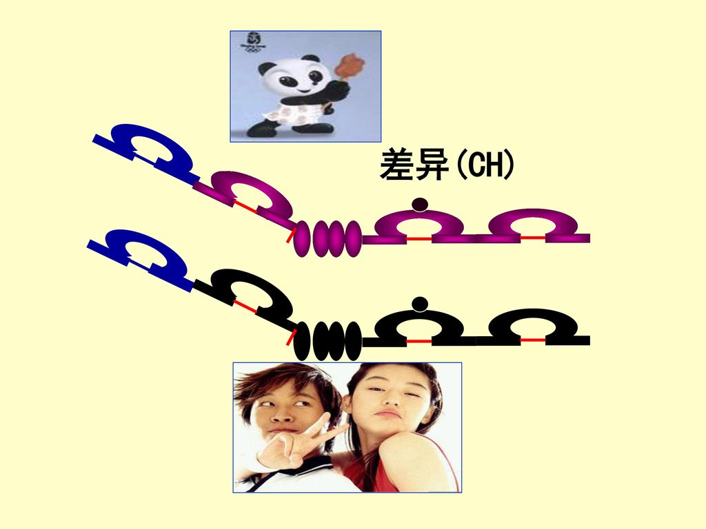 差异(CH)