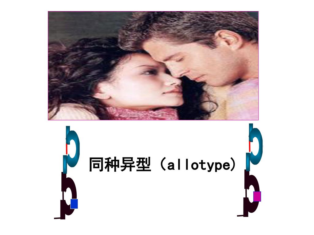 同种异型（allotype)