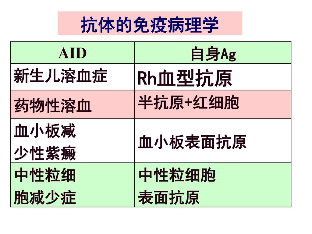 Rh血型抗原 抗体的免疫病理学 AID 自身Ag 新生儿溶血症 药物性溶血 半抗原+红细胞 血小板减 少性紫癜 血小板表面抗原 中性粒细