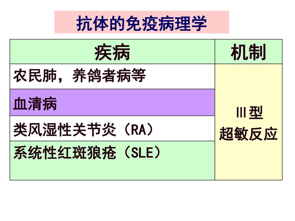 抗体的免疫病理学 疾病 机制 农民肺，养鸽者病等 Ⅲ型 超敏反应 血清病 类风湿性关节炎（RA） 系统性红斑狼疮（SLE）