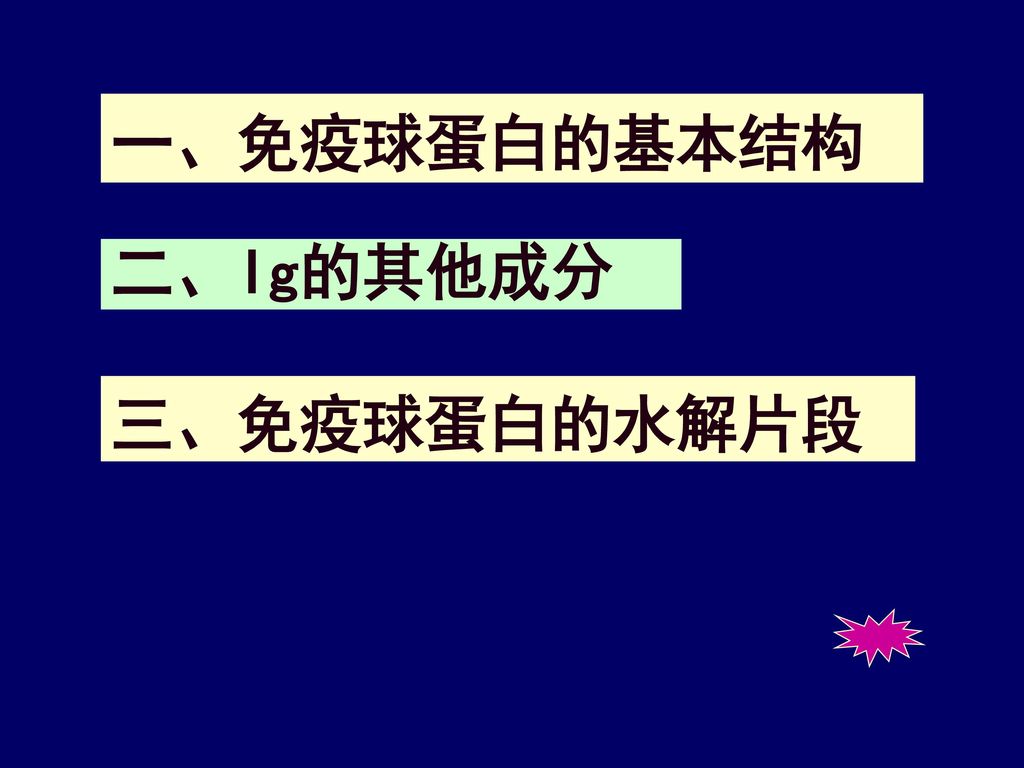 一、免疫球蛋白的基本结构 二、Ig的其他成分 三、免疫球蛋白的水解片段