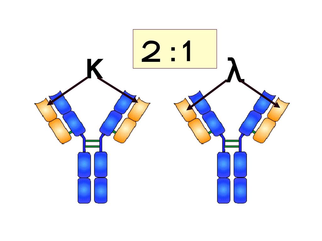 ２:1 κ λ