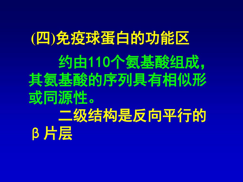 (四)免疫球蛋白的功能区 约由110个氨基酸组成，其氨基酸的序列具有相似形或同源性。 二级结构是反向平行的β片层