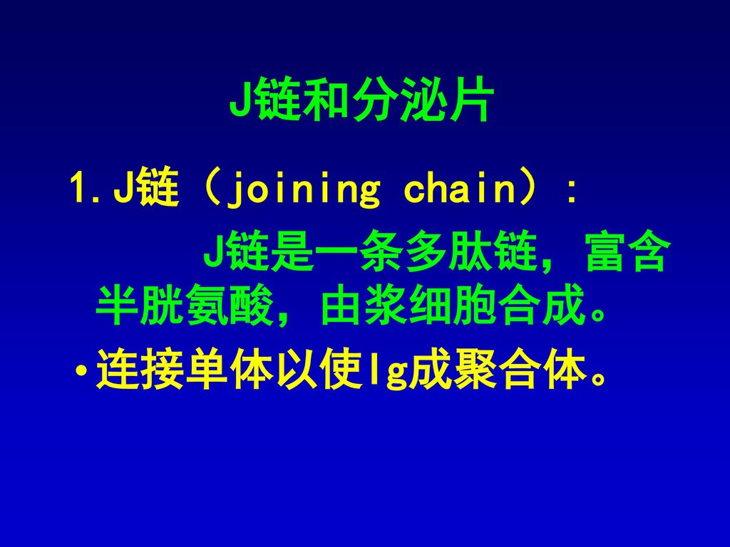 J链和分泌片 1.J链（joining chain）: J链是一条多肽链，富含半胱氨酸，由浆细胞合成。 连接单体以使Ig成聚合体。