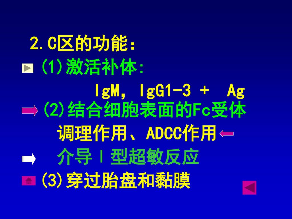 2.C区的功能： (1)激活补体: IgM，IgG1-3 + Ag (2)结合细胞表面的Fc受体 调理作用、ADCC作用 介导Ⅰ型超敏反应 (3)穿过胎盘和黏膜