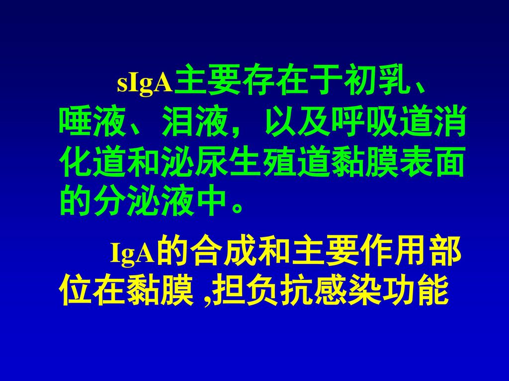 sIgA主要存在于初乳、唾液、泪液，以及呼吸道消化道和泌尿生殖道黏膜表面的分泌液中。