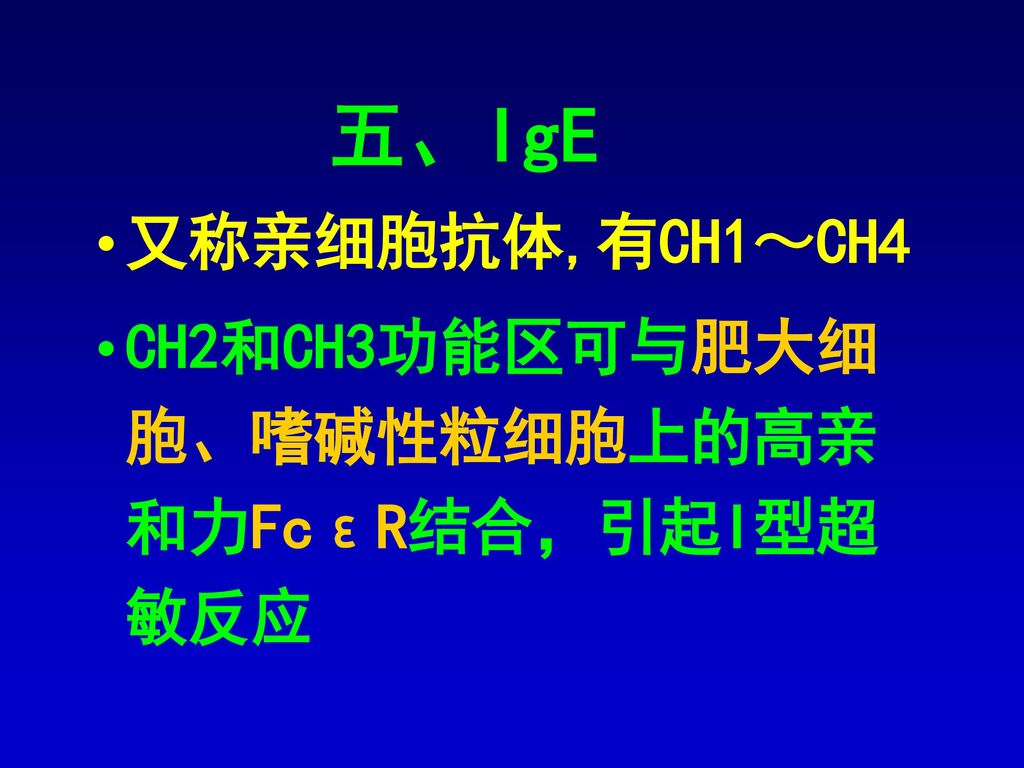 五、IgE 又称亲细胞抗体,有CH1～CH4 CH2和CH3功能区可与肥大细胞、嗜碱性粒细胞上的高亲和力FcεR结合，引起I型超敏反应