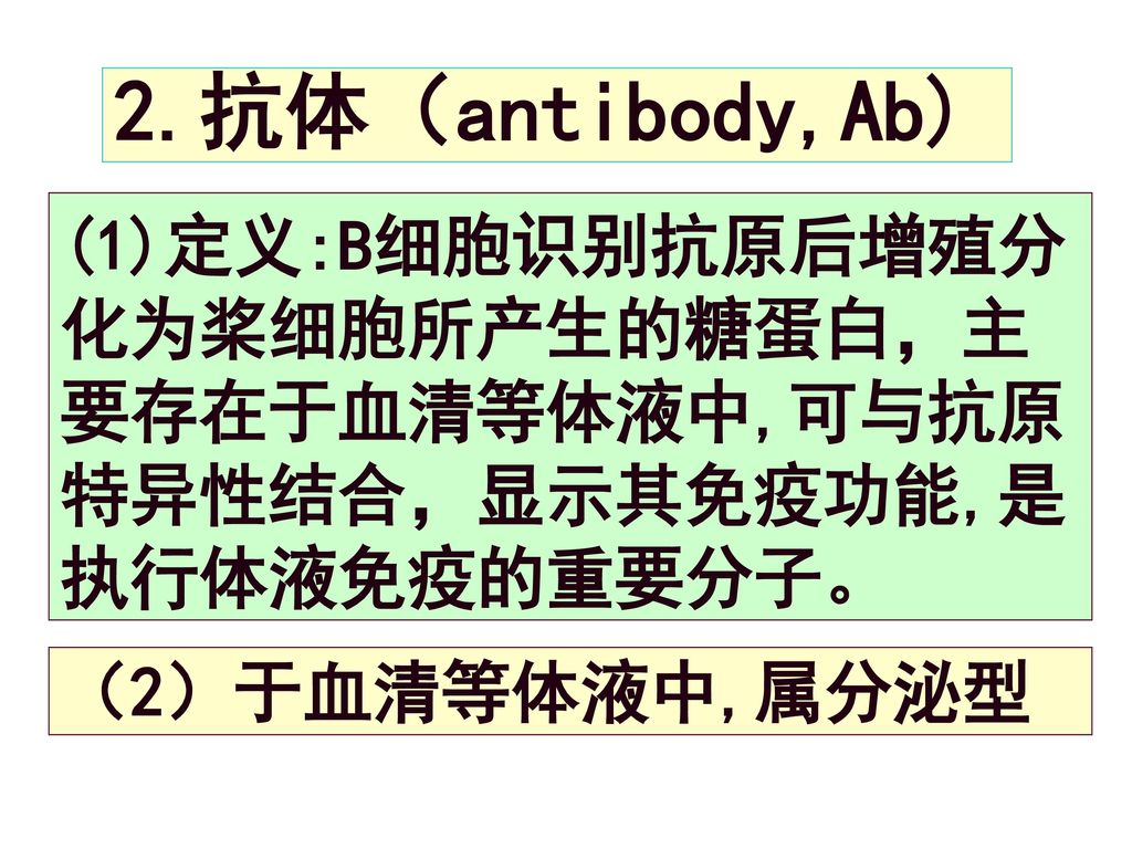 2.抗体（antibody,Ab) (1)定义:B细胞识别抗原后增殖分化为桨细胞所产生的糖蛋白，主要存在于血清等体液中,可与抗原特异性结合，显示其免疫功能,是执行体液免疫的重要分子。 （2）于血清等体液中,属分泌型.