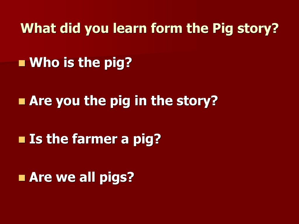 What did you learn form the Pig story