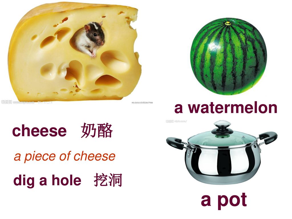 a watermelon cheese 奶酪 a piece of cheese dig a hole 挖洞 a pot