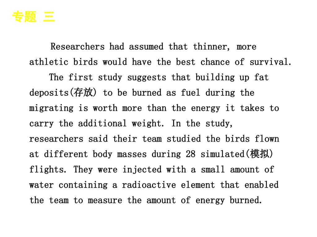 专题 三 │ 专题预测 Researchers had assumed that thinner, more athletic birds would have the best chance of survival.