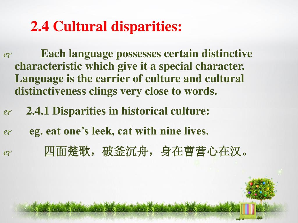 2.4 Cultural disparities: