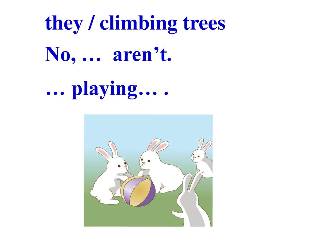 they / climbing trees No, … aren’t. … playing… .