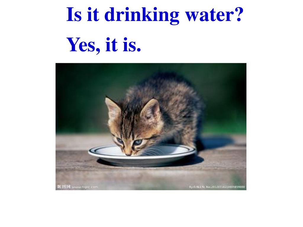 Is it drinking water Yes, it is.