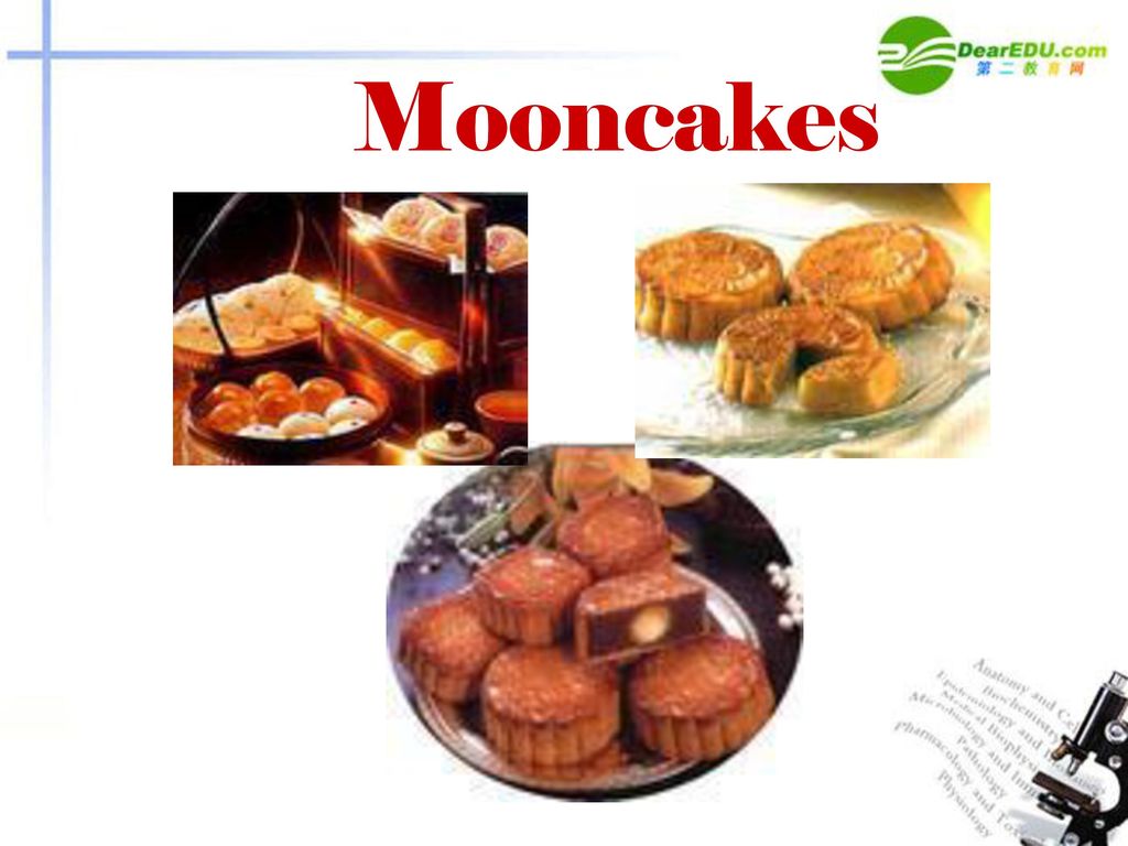 Mooncakes