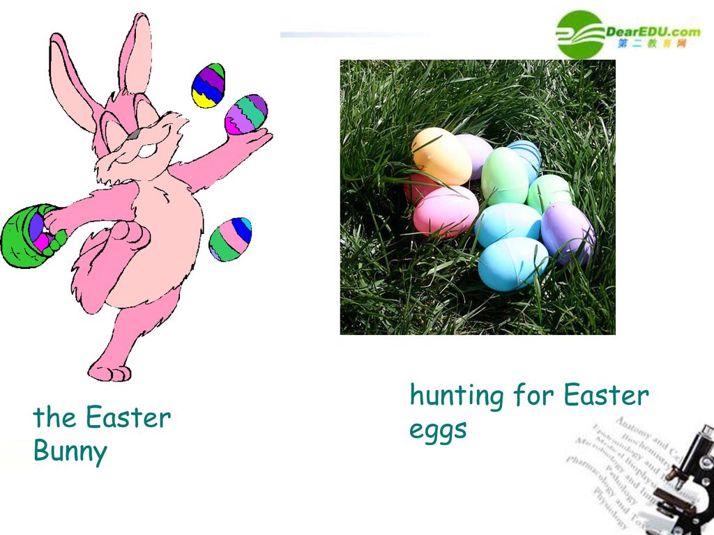 hunting for Easter eggs