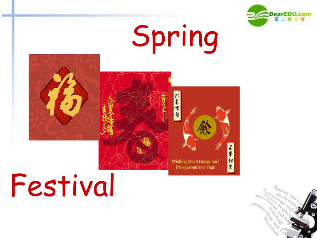 Spring Festival