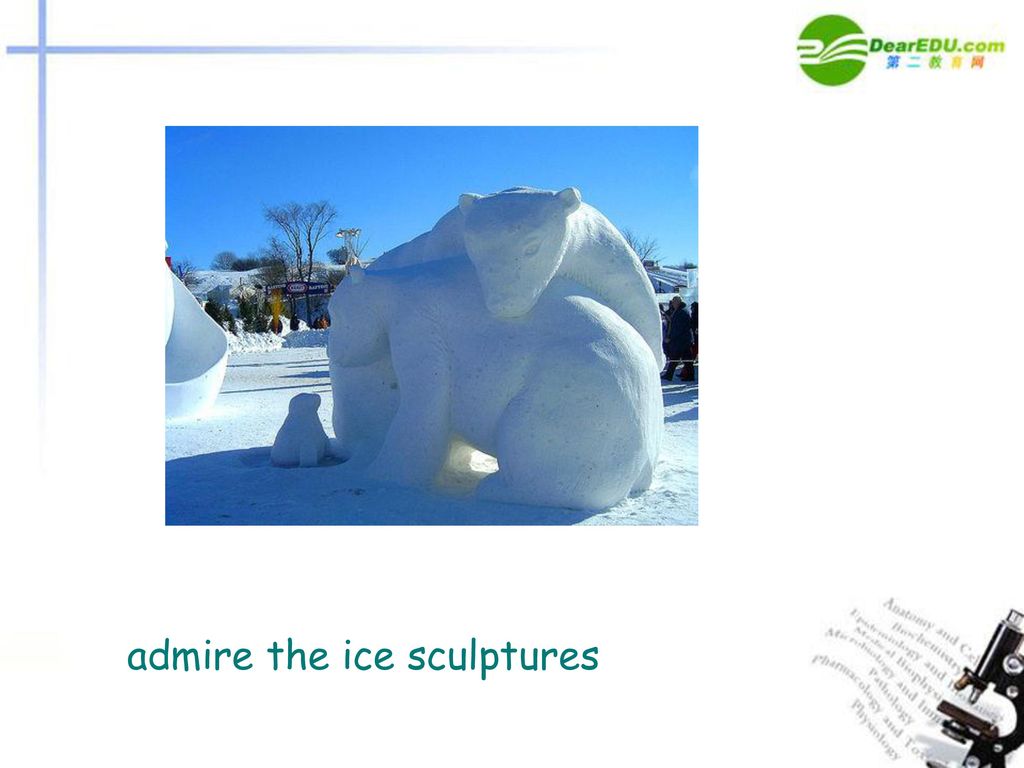 admire the ice sculptures