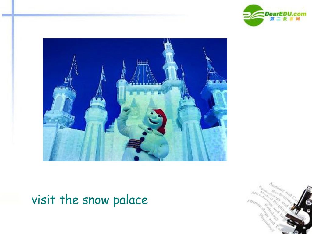 visit the snow palace