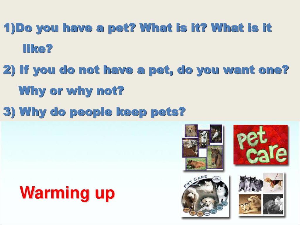 Warming up Do you have a pet What is it What is it like