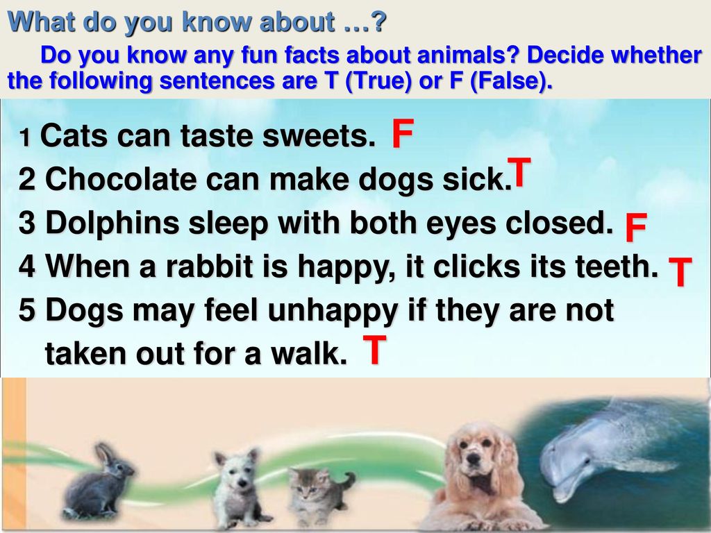 F T F T T 2 Chocolate can make dogs sick.