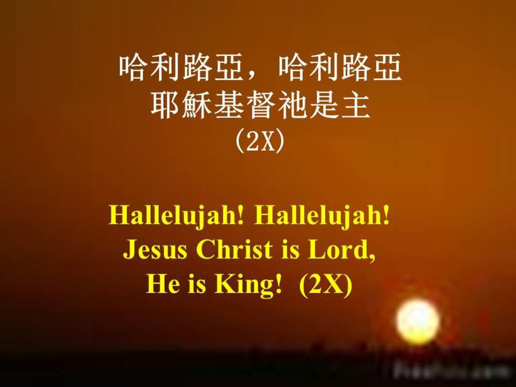 Hallelujah! Hallelujah! Jesus Christ is Lord, He is King! (2X)