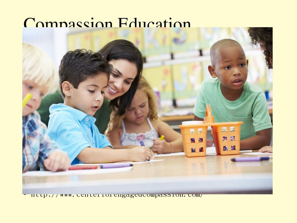 Compassion Education 同情心教育