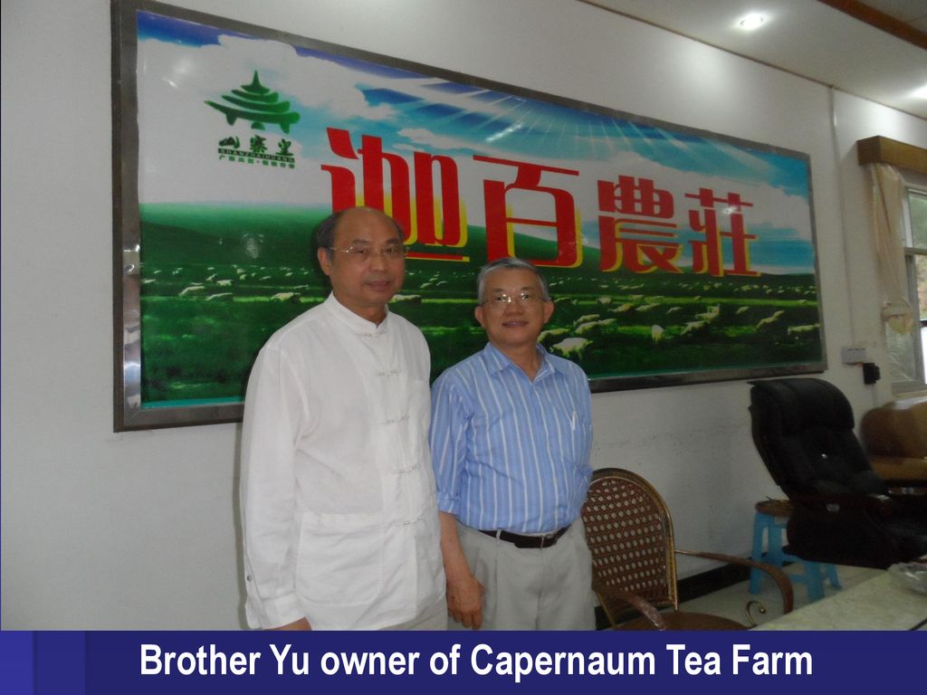 Brother Yu owner of Capernaum Tea Farm