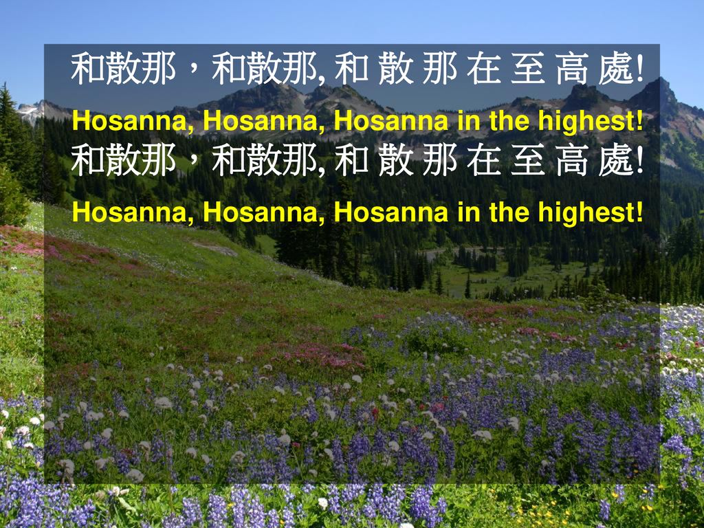 和散那，和散那, 和 散 那 在 至 高 處. Hosanna, Hosanna, Hosanna in the highest.