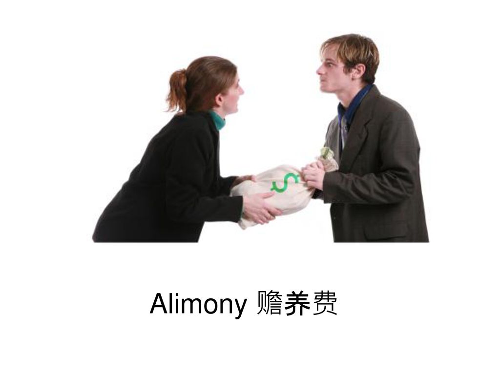 Alimony 赡养费